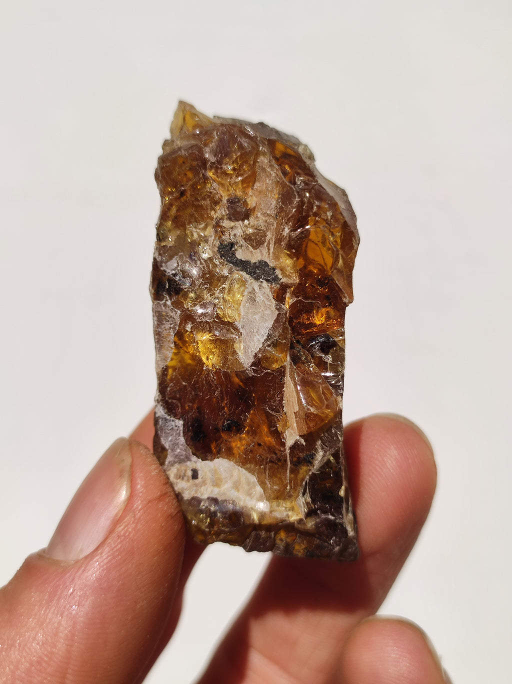 XL Golden Amber (Baltic States) Raw Natural - A Quality - Decorative Stone Gemstone Crystal Meditation Energy Healing Stone Rarity Collector