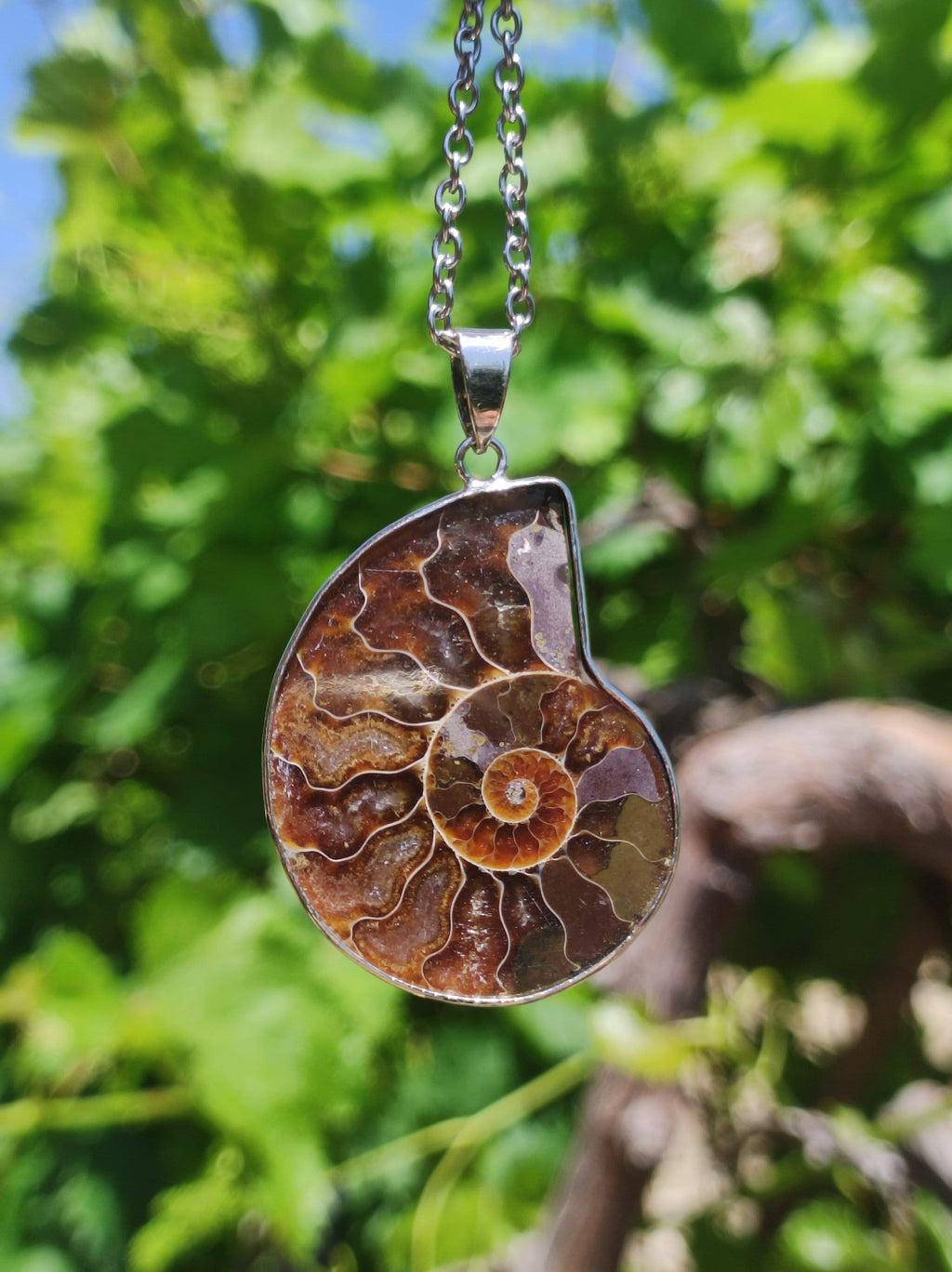 Ammonite Schnecke ~ Anhänger Kette ~HIPPIE ~GOA ~Boho ~Ethno ~Nature ~Heilstein ~Fossil ~Spirale