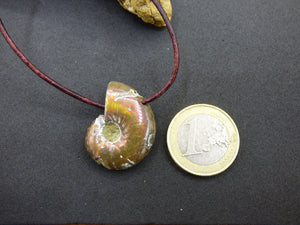 Opalisierende Ammonite Schnecke Edelstein Kette Natur HIPPIE GOA Boho Heilstein Kristalle Schmuck Anhänger Mann Frau Kind Geschenk Er Sie
